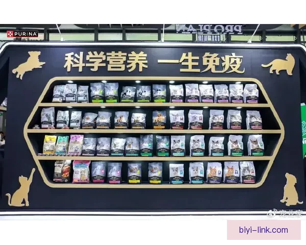 必一体育app下载全面指南助力用户畅享专业运动赛事体验